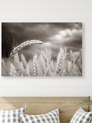 Wheat field wall art – Kansas prairie agriculture photography by Debra Gail Fine Art