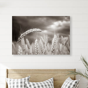 Wheat field wall art – Kansas prairie agriculture photography by Debra Gail Fine Art