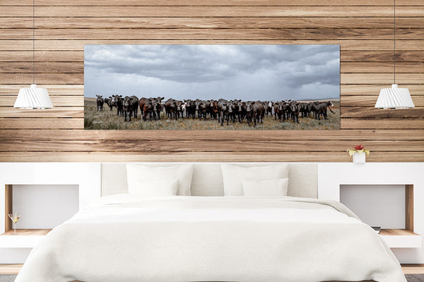 BLACK ANGUS ART PRINT - WIDE FARMHOUSE DECOR