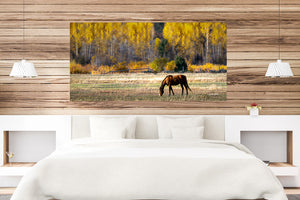 Horse Panoramic Wall Art Canvas Print | Western Landscape Wall Art