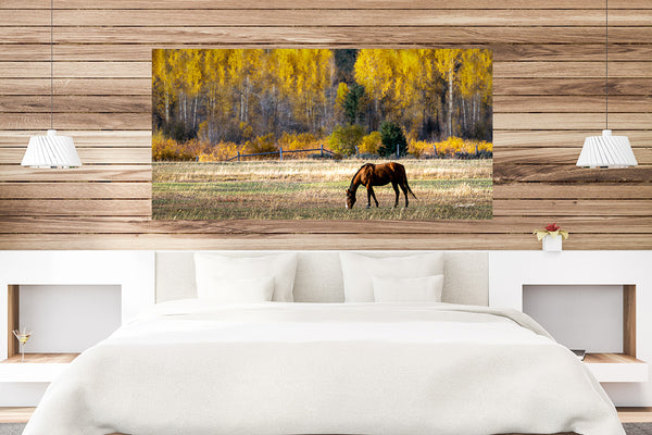 WESTERN HORSE ART PRINT - WYOMING PHOTOGRAPHY 2:1