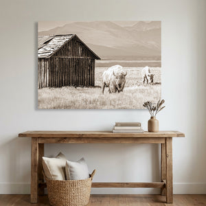 White Buffalo Photography Canvas Print | Spiritual Western Bison Wall Art