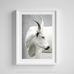 Texas Longhorn wall art – Western ranch photography print by Debra Gail Fine Art
