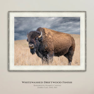 Buffalo Wall Art - Rustic Bison Prairie Framed, Canvas, Barnwood Framed
