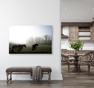 Wild Horses Photography Canvas or Print | Original Debra Gail Fine Art Western Wall Decor