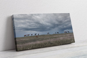 Wild Horse Panoramic Wall Art | Rustic Western Prairie Canvas Print