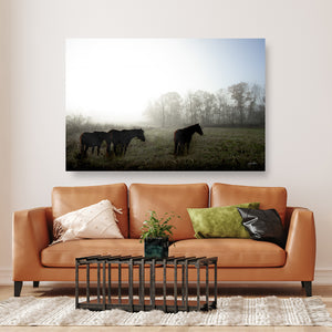 Wild Horses Photography Canvas or Print | Original Debra Gail Fine Art Western Wall Decor