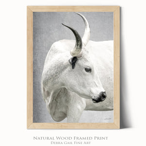 Texas Longhorn wall art – Western ranch photography print by Debra Gail Fine Art