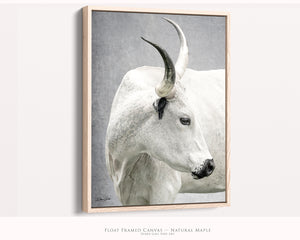 White Longhorn Wall Art - Vertical Rustic Farmhouse Decor | Texas Longhorn Canvas Print